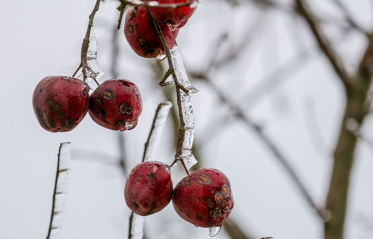 Wetter in Baden-Württemberg Wetter in Baden-Württemberg