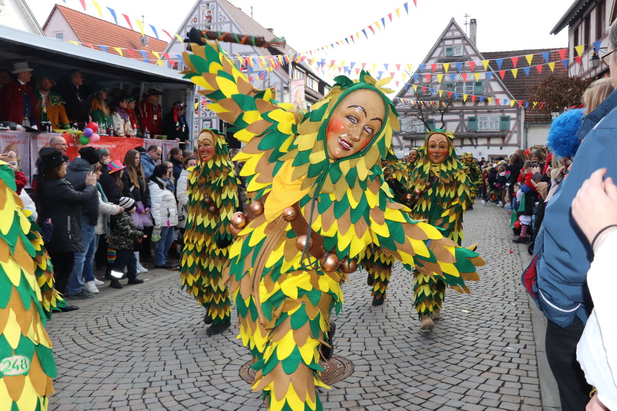 Ringtreffen Hayingen Umzug 076
