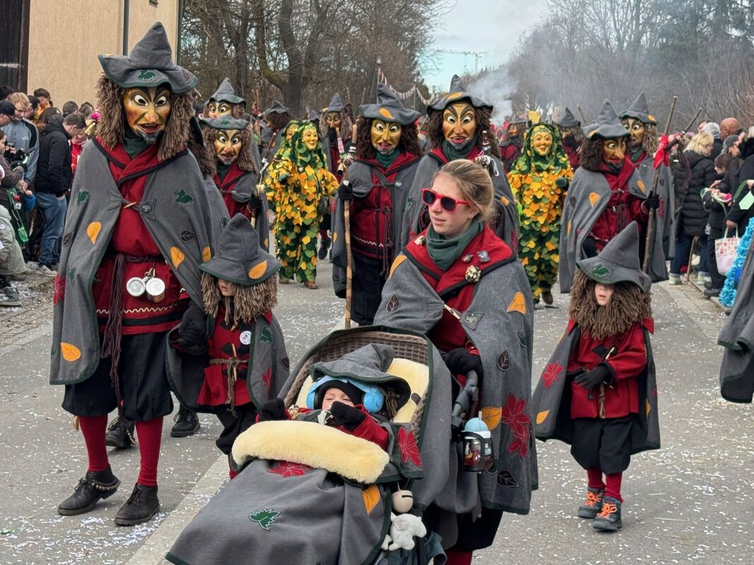 Fasnetsumzug Oberstetten (10)