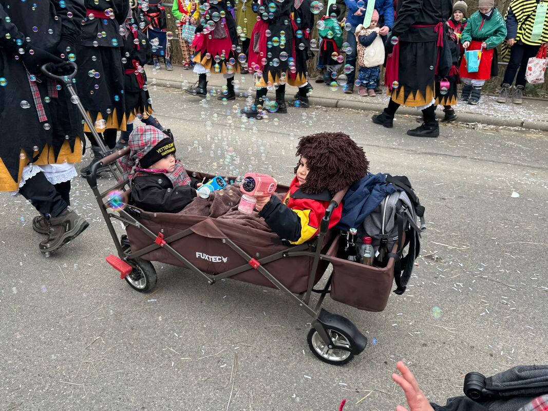 Fasnetsumzug Oberstetten (14)