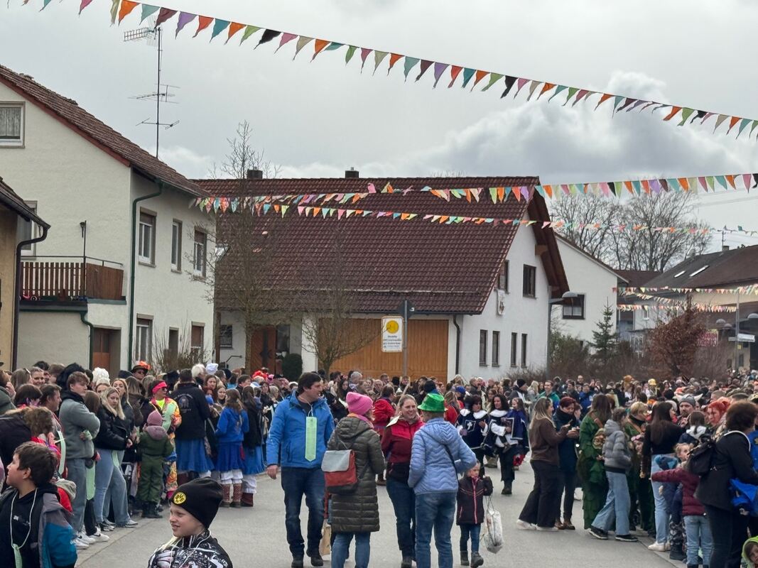 Fasnetsumzug Oberstetten (18)