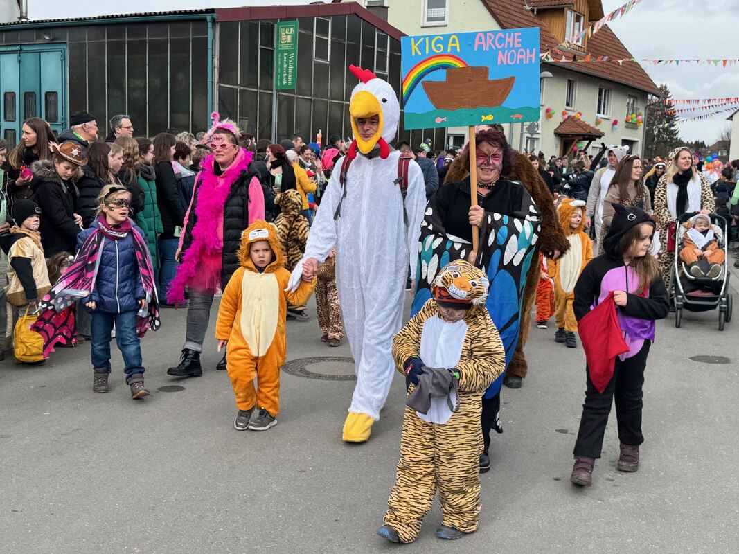 Fasnetsumzug Oberstetten (23)