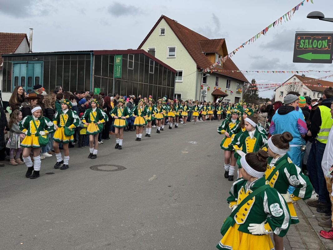 Fasnetsumzug Oberstetten (26)