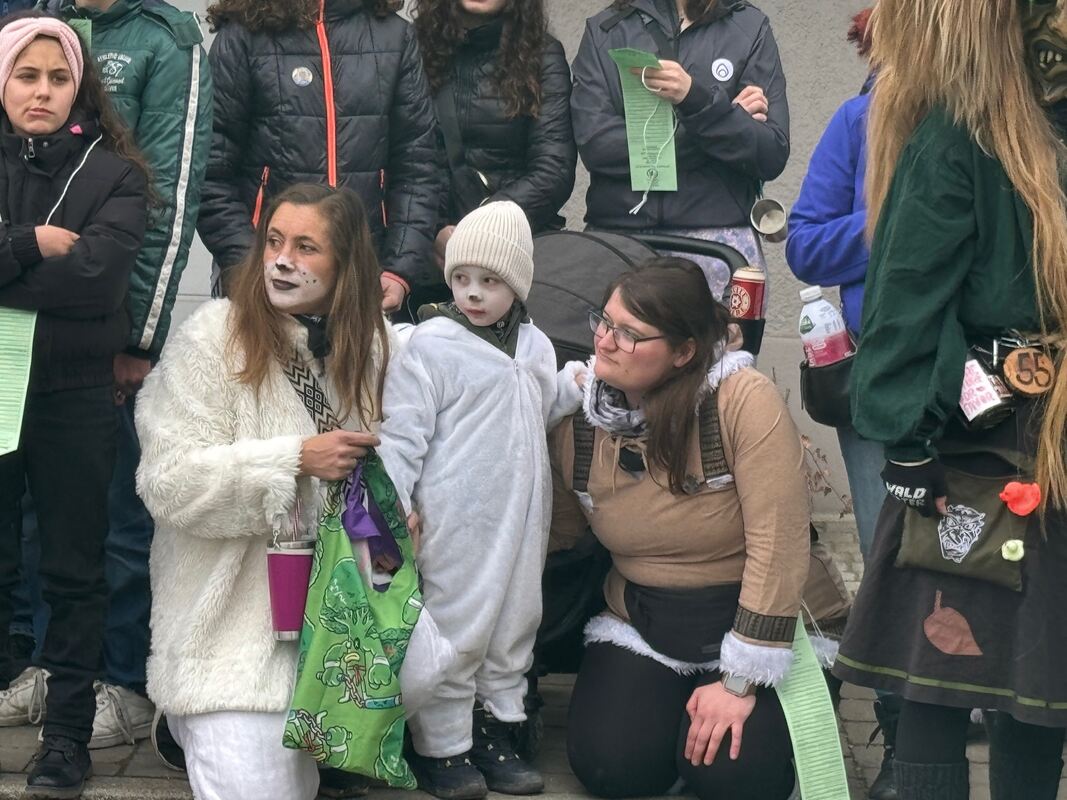 Fasnetsumzug Oberstetten (34)