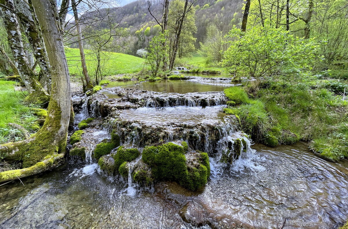 Naturerlebnis Die Sinterterassen im Donntal am Fuße der Römersteiner Alb FOTO MEYER Mitte April 2024