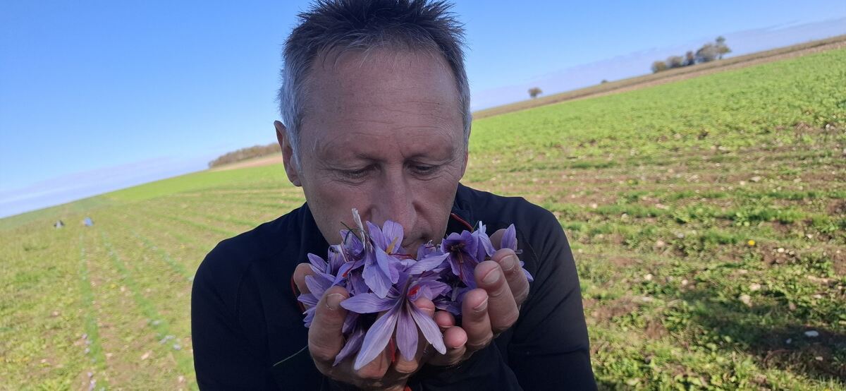 Safranernte Sonnenbühl Frank Bahnmüller Cordula Fischer