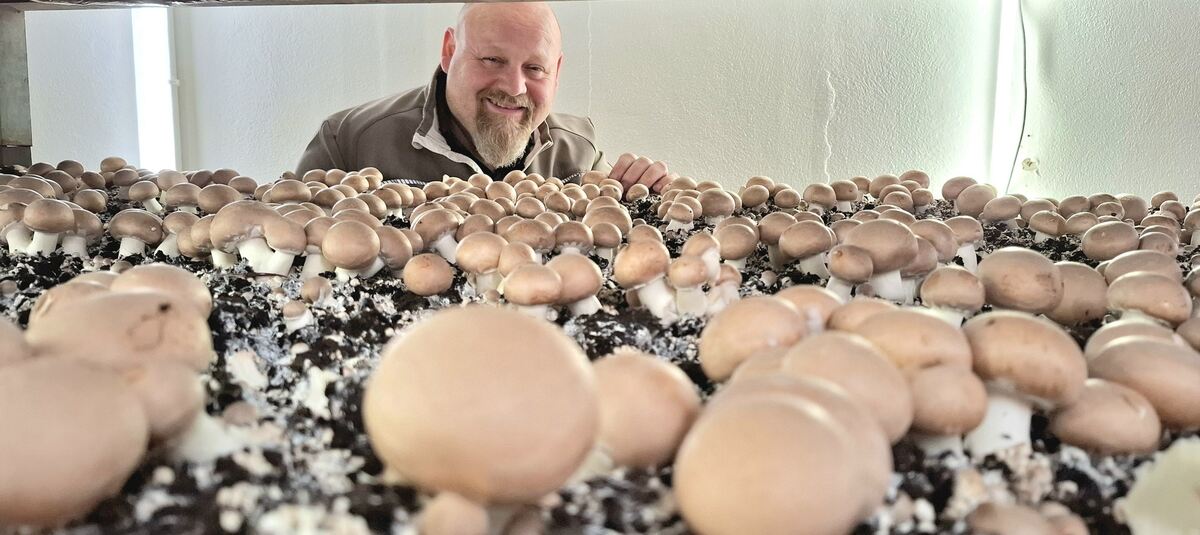 Champignonzucht Hayingen Frank Geiselhart Cordula Fischer
