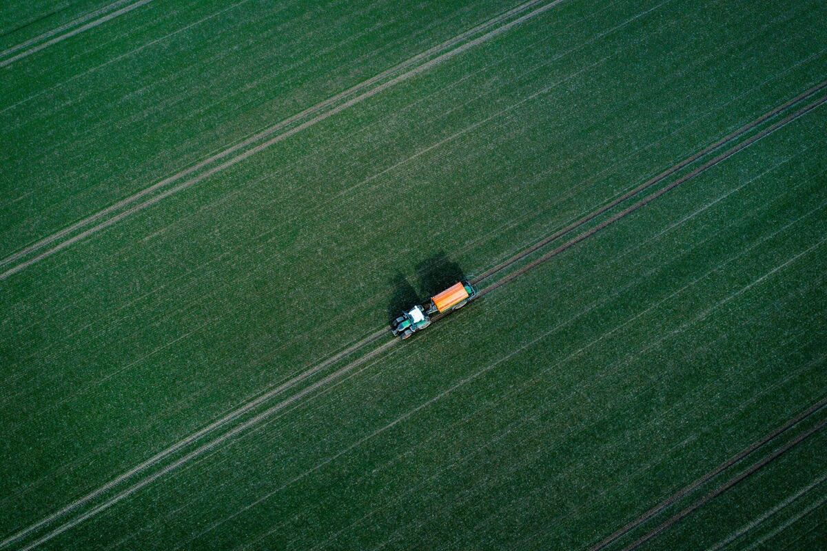 Landwirtschaftstag in Mecklenburg-Vorpommern