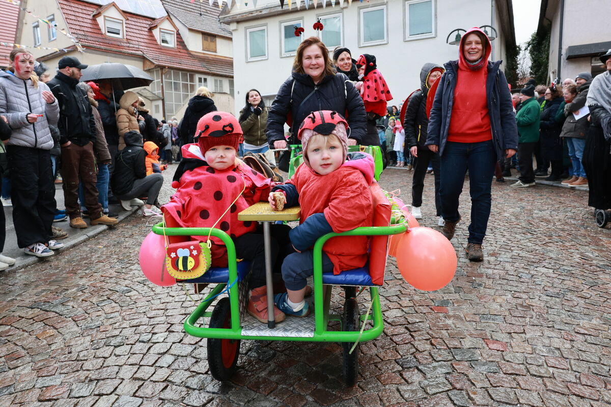 Glückskäfer waren beim Kinderumzu in Eningen_Reisner