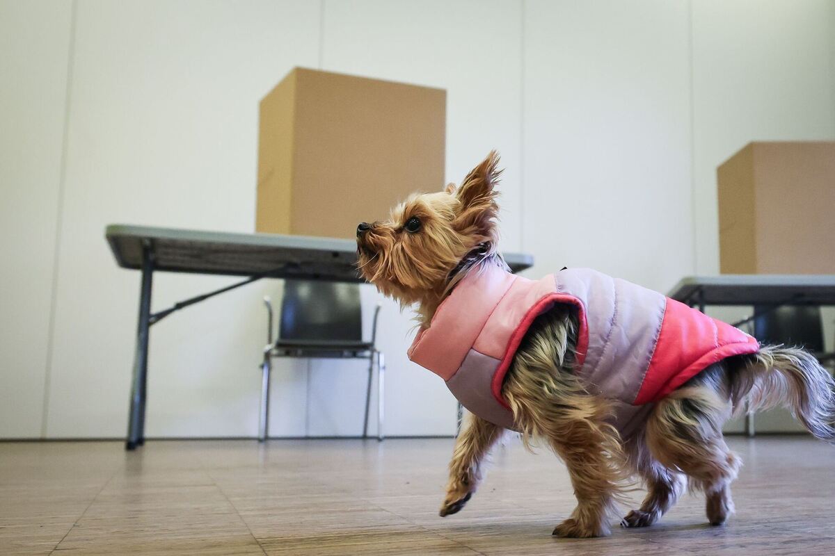 Bürgerschaftswahl Hamburg - Wahllokal