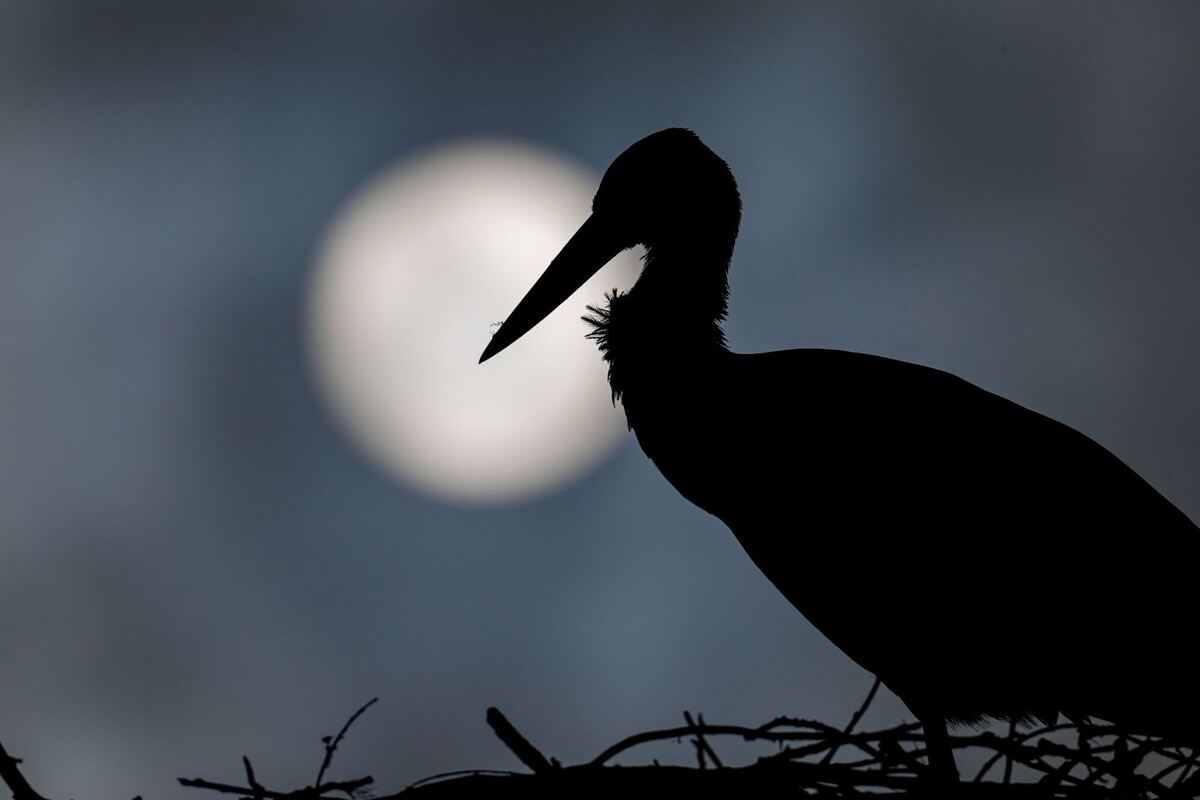 Wetter in Baden-Württemberg