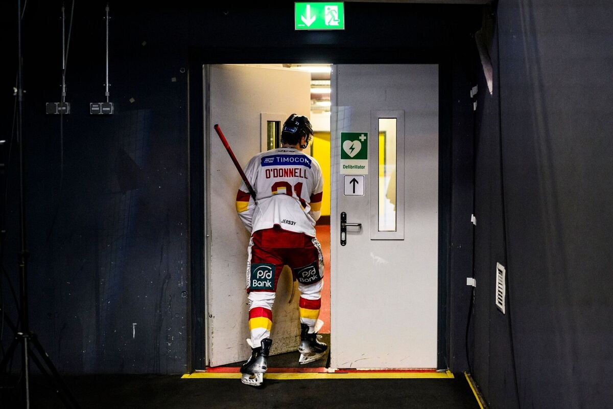 Augsburger Panther - Düsseldorfer EG Augsburger Panther - Düsseldorfer EG