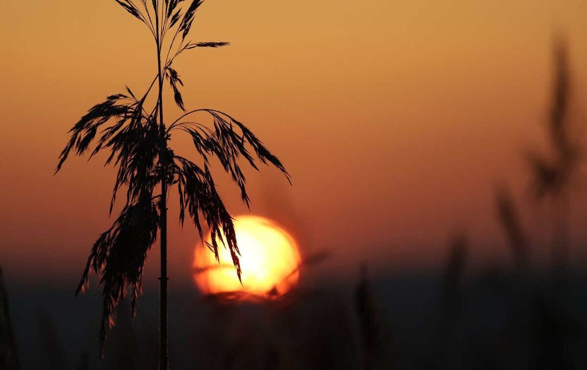 Wetter in Baden-Württemberg Wetter in Baden-Württemberg
