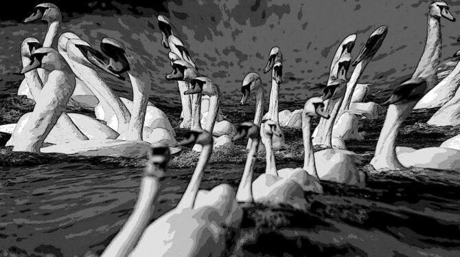 Halluzinationen drängen sich wie absurde Filmsequenzen zwischen Christiane Vogel und die Wirklichkeit. Die 47-Jährige leidet sei