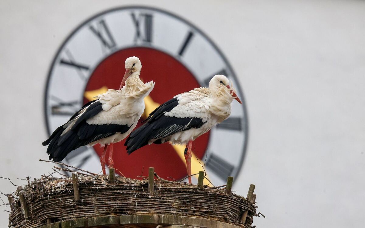 Wetter in Baden-Württemberg Wetter in Baden-Württemberg