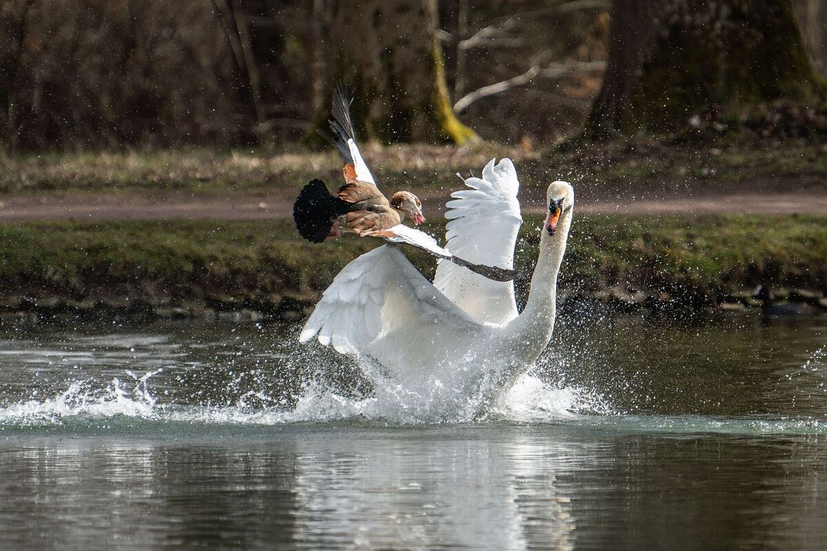 Frühling in Baden-Württemberg Frühling in Baden-Württemberg