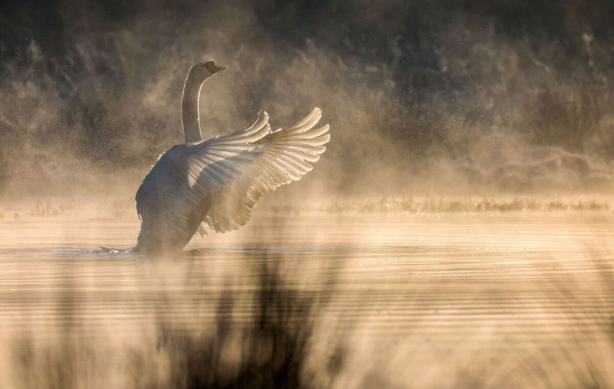 Wetter in Baden-Württemberg