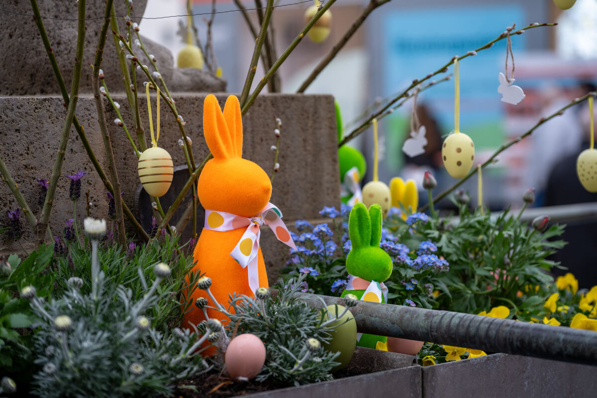 Frühlingserwachen_Pfullingen_23_03_2025_Schanz_001