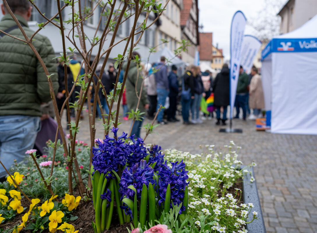 Frühlingserwachen_Pfullingen_23_03_2025_Schanz_015