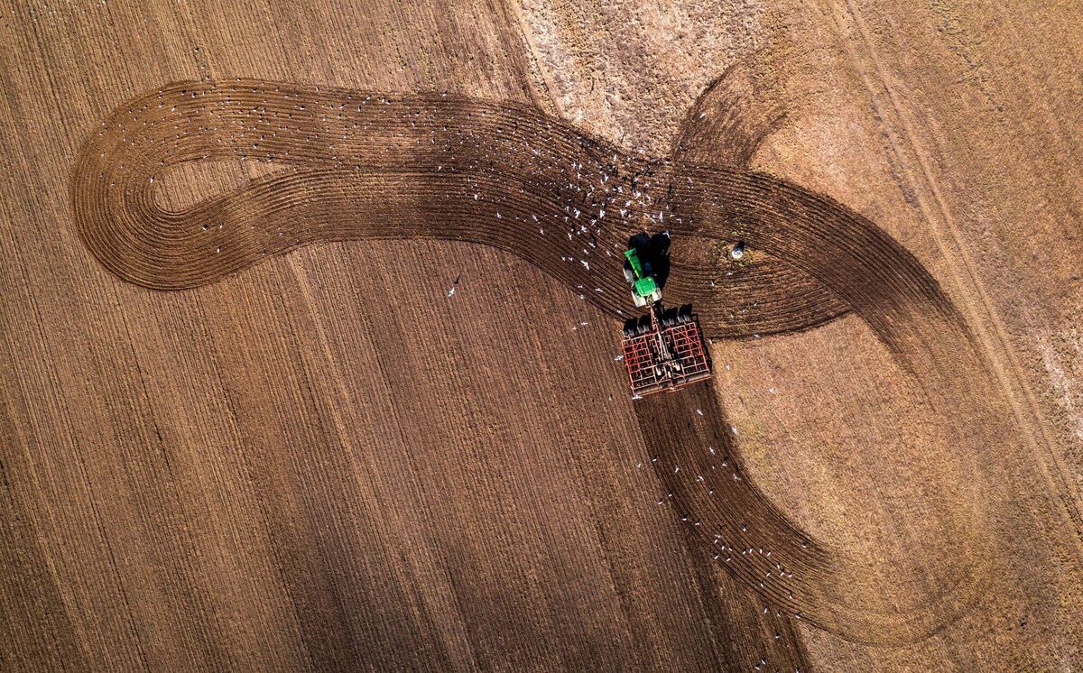 Trockenheit sorgt für Sorgen bei Landwirten Trockenheit sorgt für Sorgen bei Landwirten