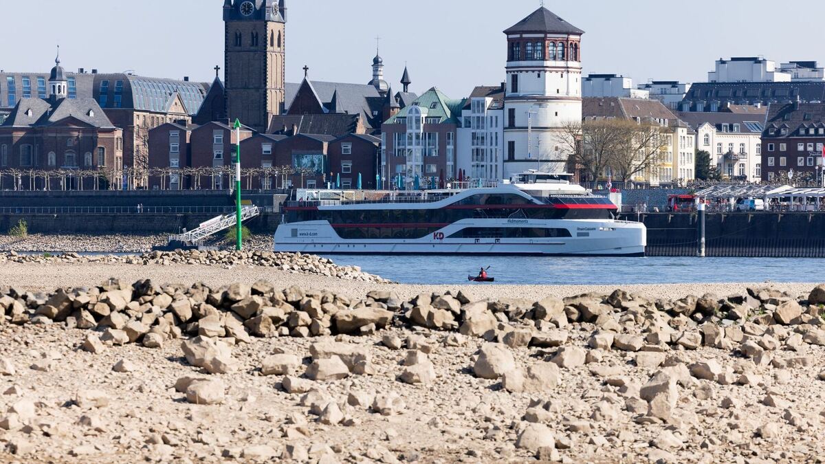 Trockenheit am Rhein