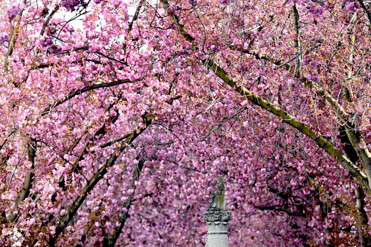 Wetter in Nordrhein-Westfalen Wetter in Nordrhein-Westfalen