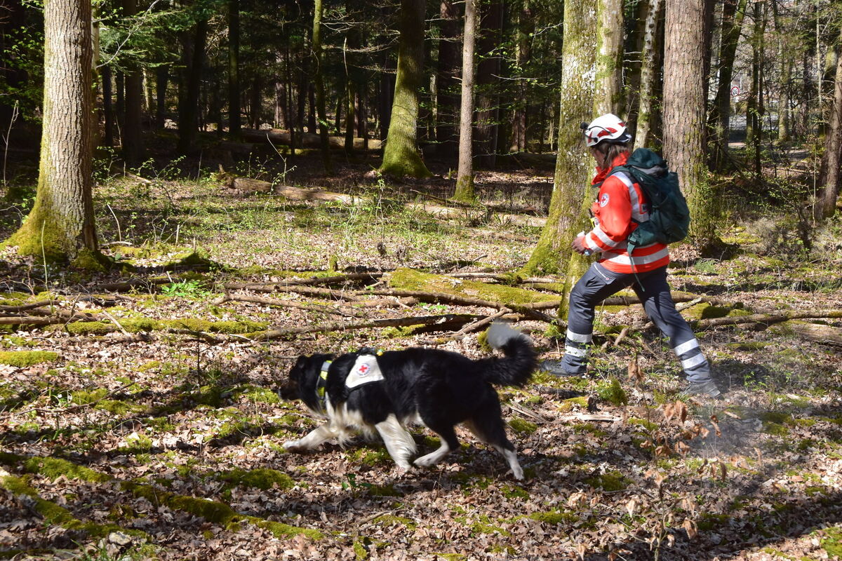 Im Sucheinsatz FOTO MEYER
