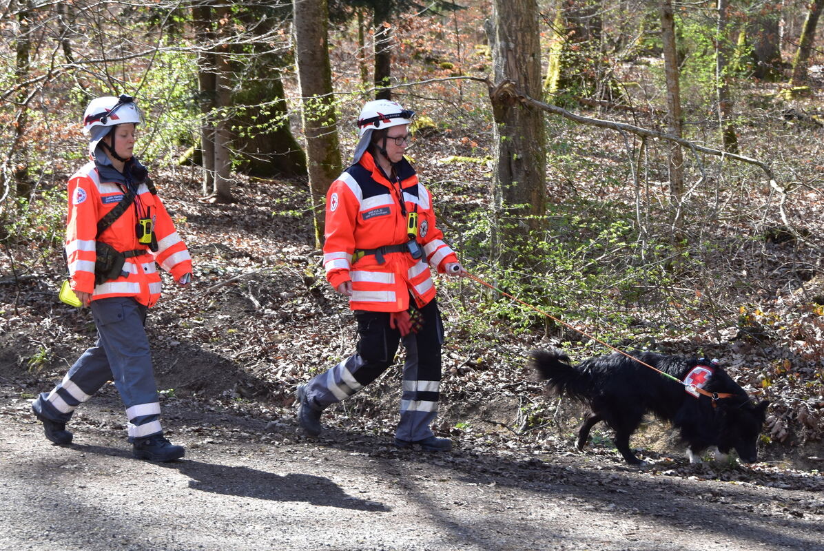 Rettungshund hat Spur aufgenommen FOTO MEYER_0346