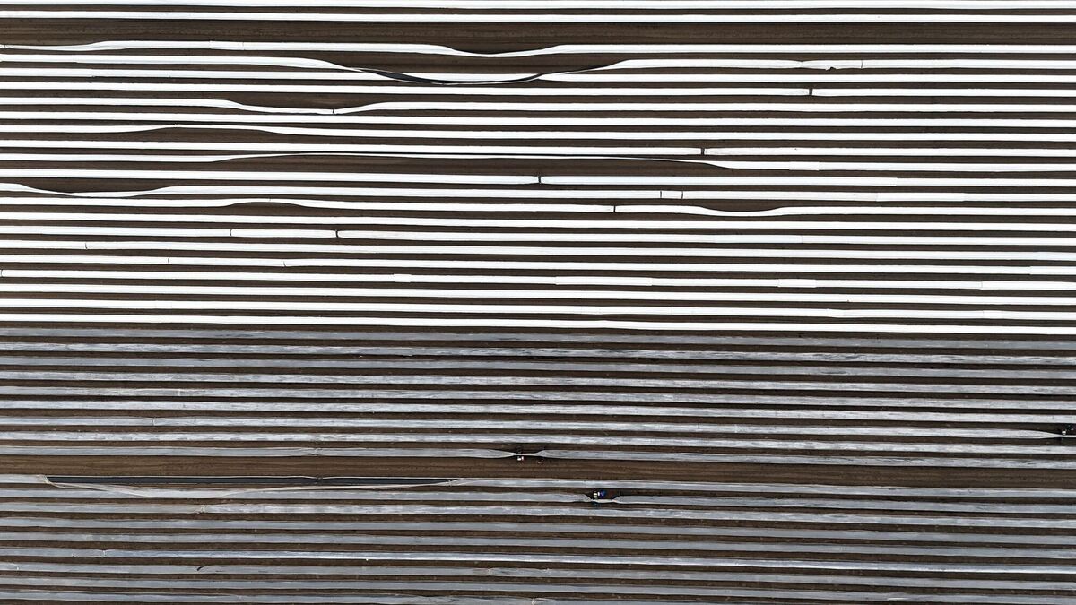 Spargelanstich 2025 - Schleswig-Holstein Spargelanstich 2025 - Schleswig-Holstein