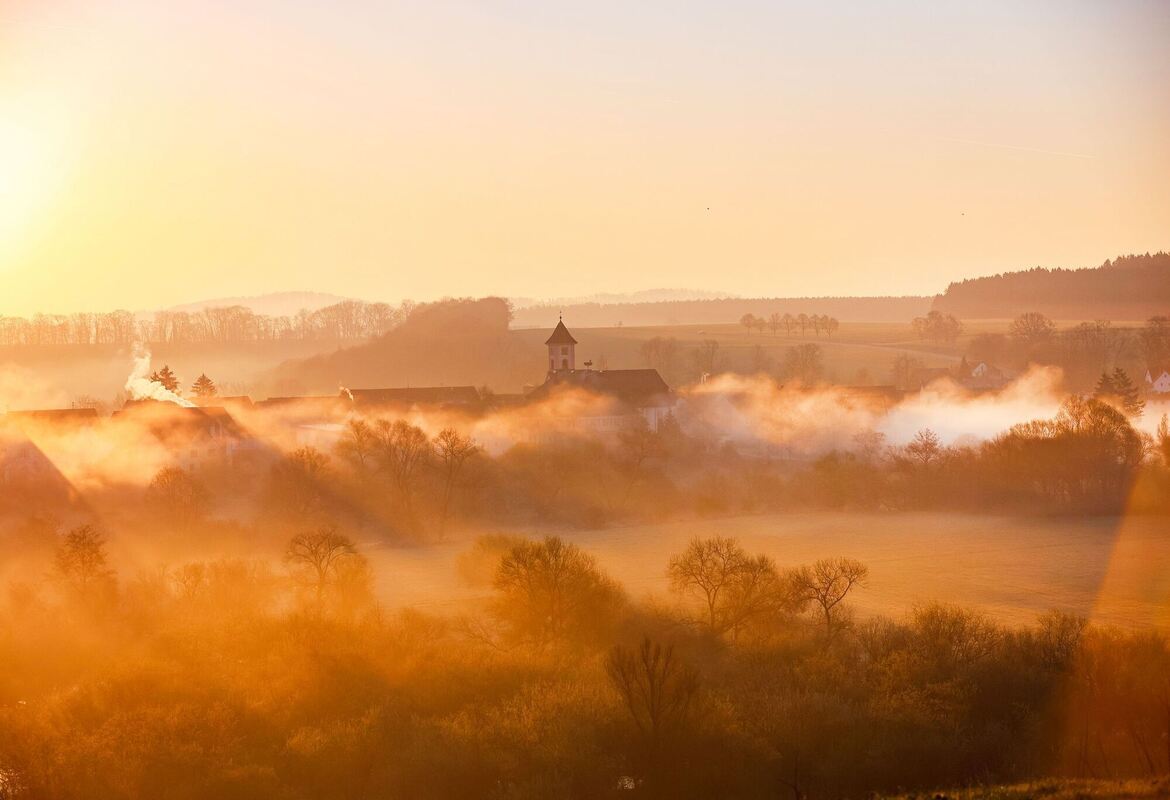 Morgennebel an der Donau