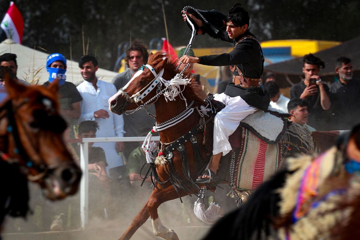Arabisches Pferdefestival im Irak Arabisches Pferdefestival im Irak