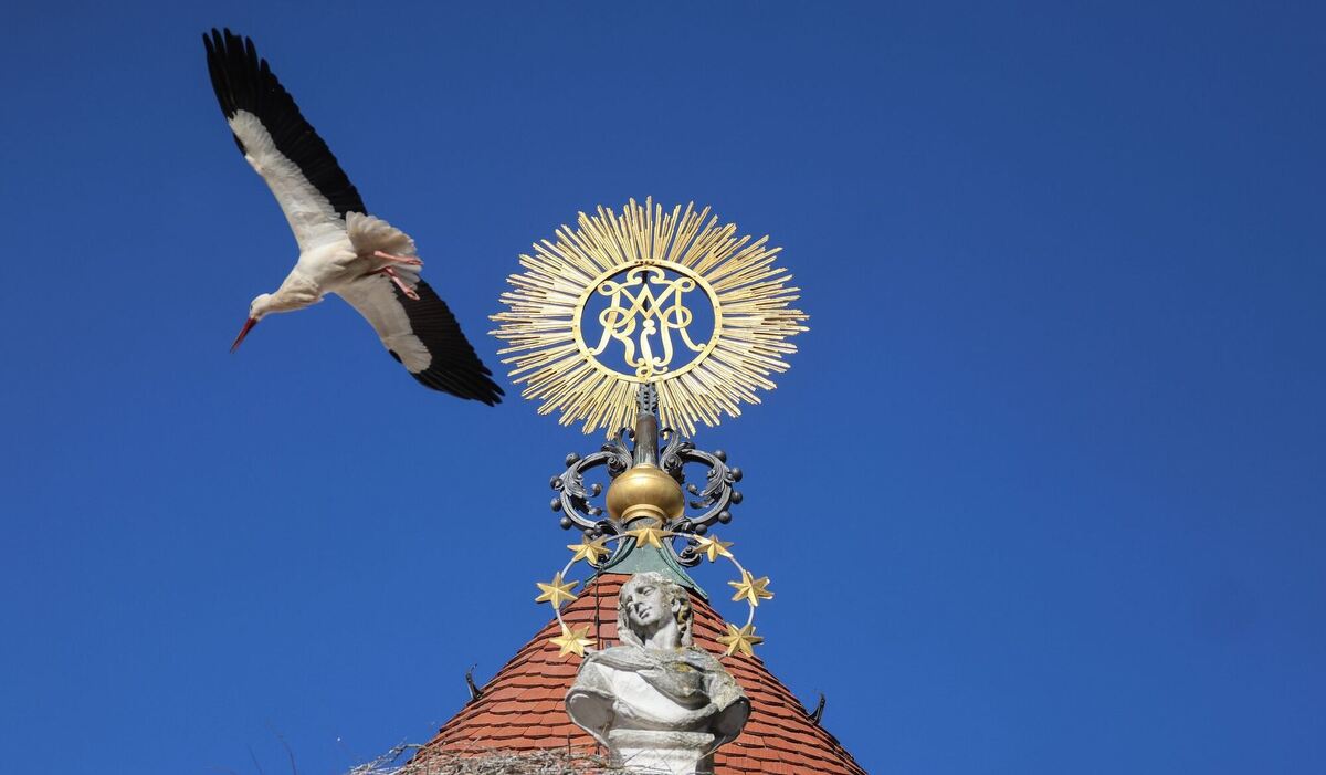 Wetter in Baden-Württemberg Wetter in Baden-Württemberg