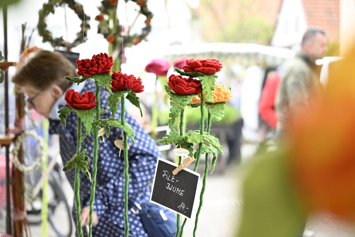 tulpenbluete_goenningen_13_04_pieth_15