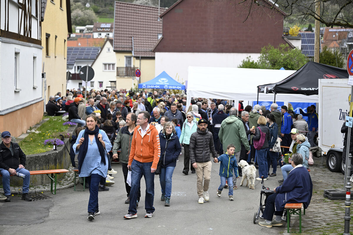 tulpenbluete_goenningen_13_04_pieth_37