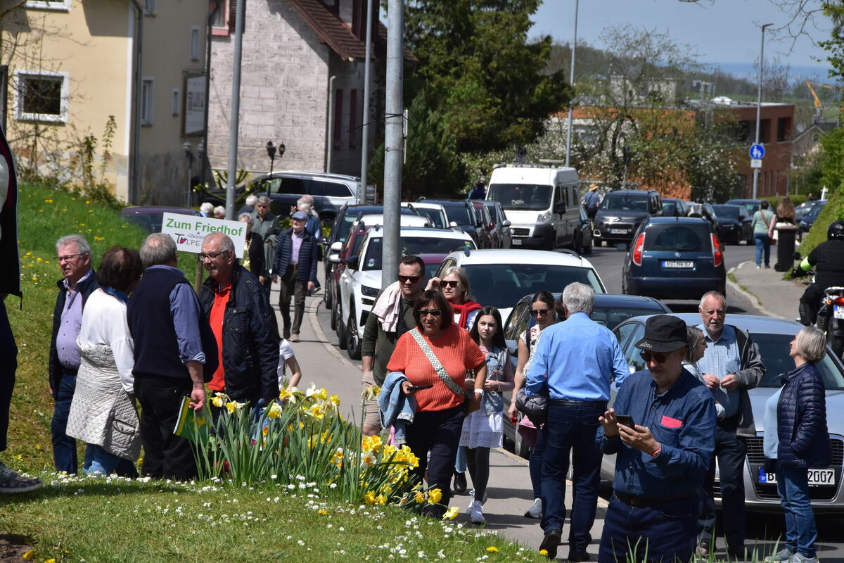 2te Tulpenblüte  FOTOJÜRGEN MEYER 27 4 25_22
