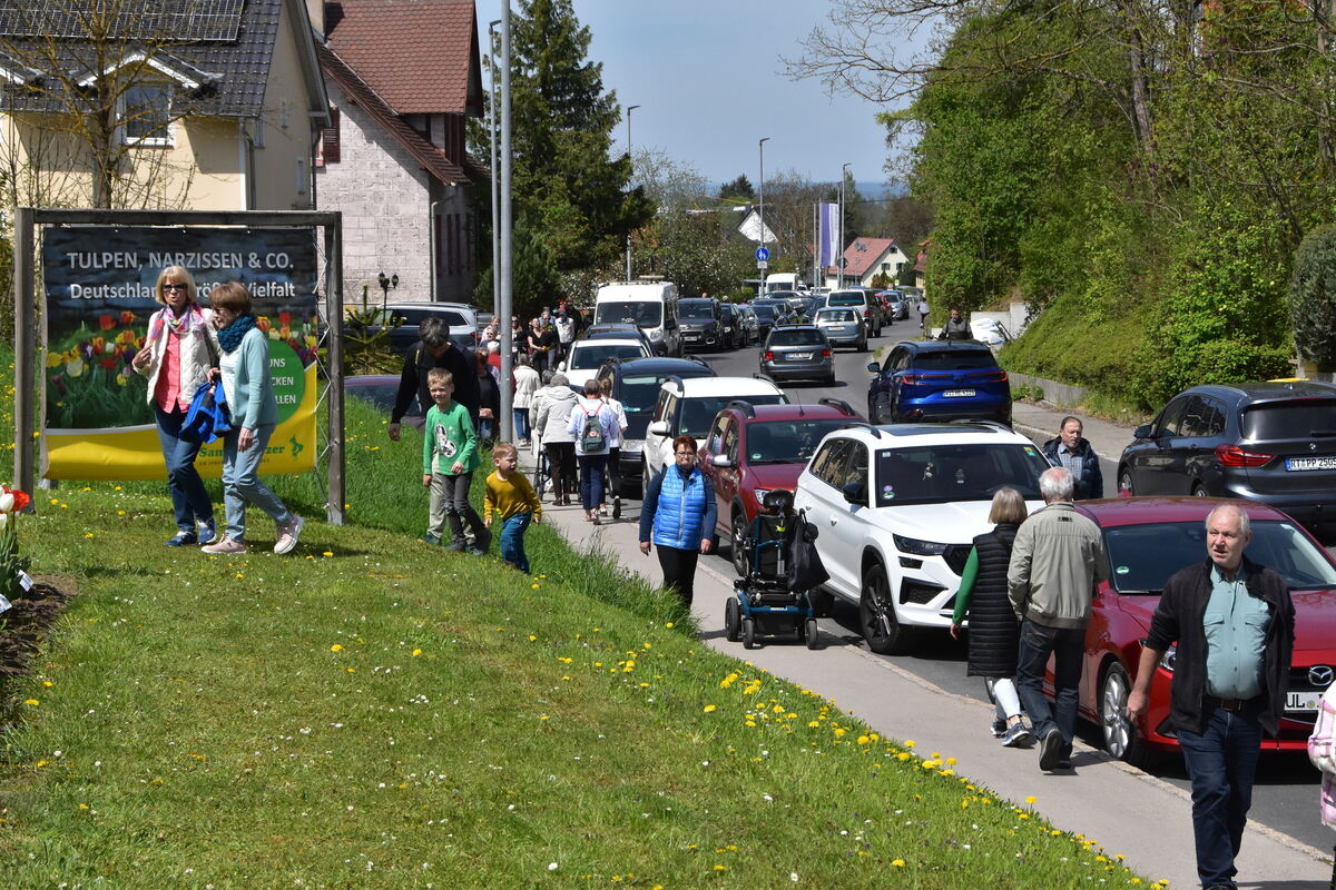 2te Tulpenblüte  FOTOJÜRGEN MEYER 27 4 25