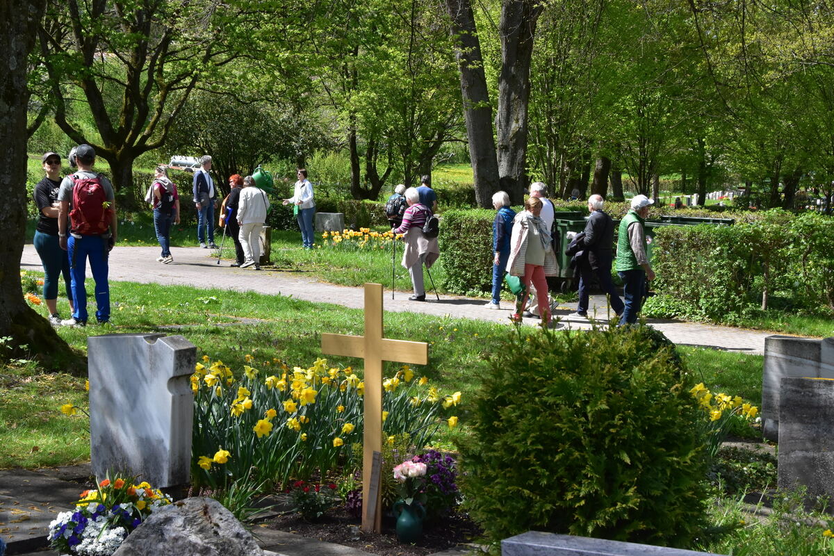 2te Tulpenblüte  FOTOJÜRGEN MEYER 27 4 25_07