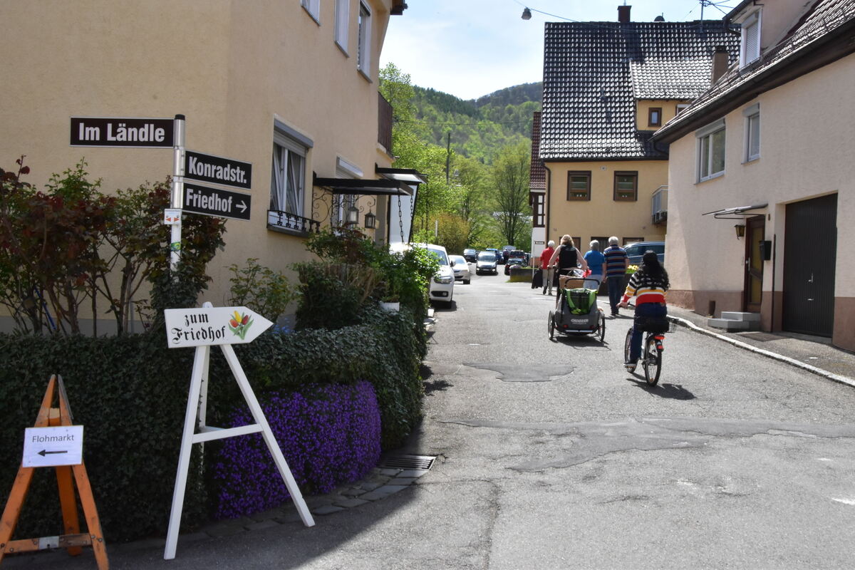 2te Tulpenblüte  FOTOJÜRGEN MEYER 27 4 25_11