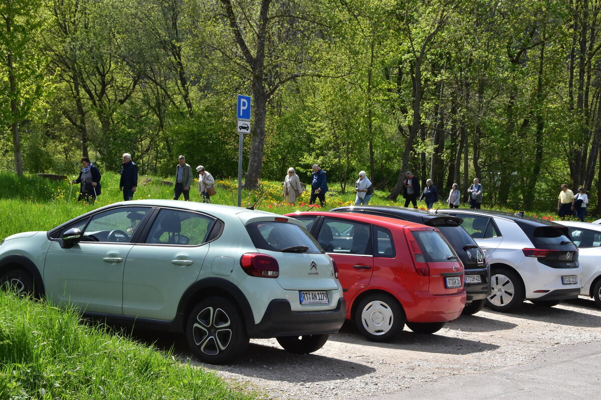 2te Tulpenblüte  FOTOJÜRGEN MEYER 27 4 25_14