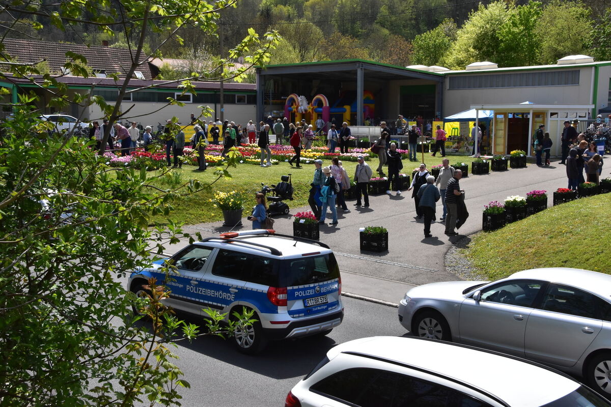 2te Tulpenblüte  FOTOJÜRGEN MEYER 27 4 25_17