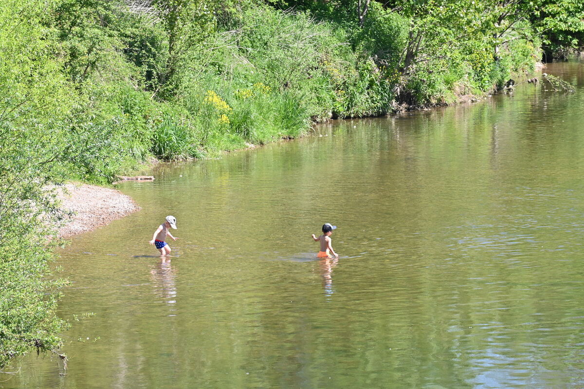 Kirchentellinsfurt Neckartal FOTO MEYER _0374