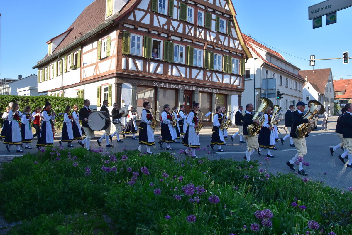 Mössingen Umzug FOTO MEYER_0441