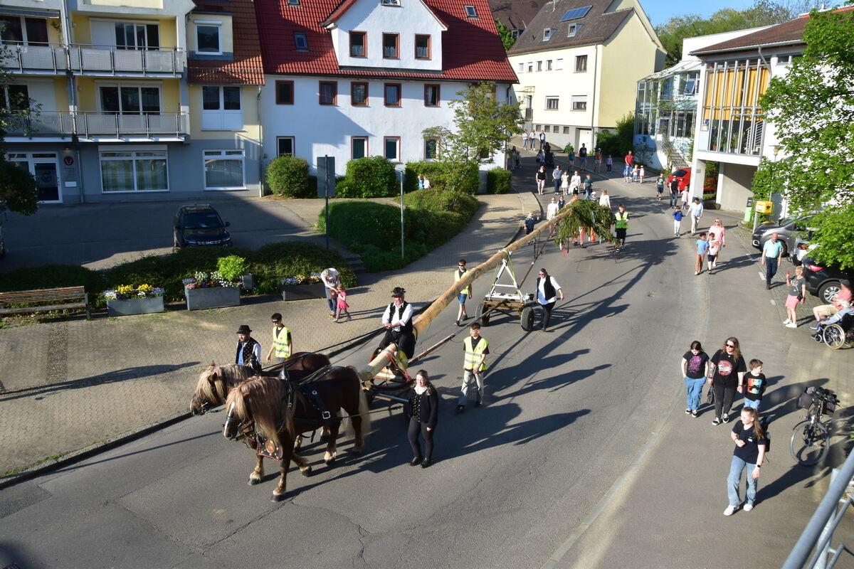 Mössingen Umzug FOTO MEYER_0469