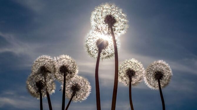 Wetter in Südbrandenburg