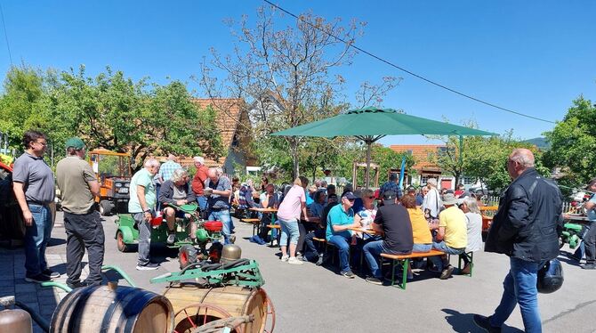 Deichselreitertreffen am Glemser Obstbaumuseum.