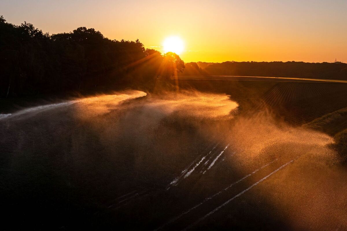 Trockenheit in der Landwirtschaft