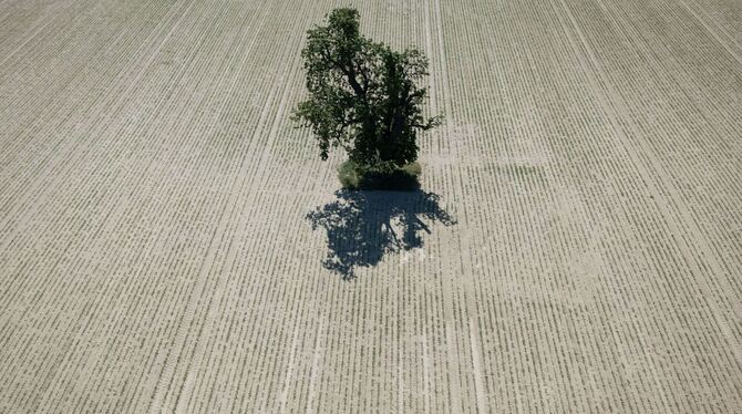Trockenheit in Deutschland