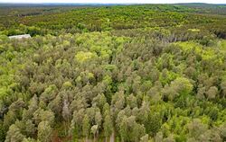 Getötete Frau in Sachsen gefunden