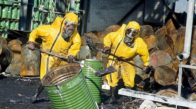 Sandoz-Umweltkatastrophe 1986