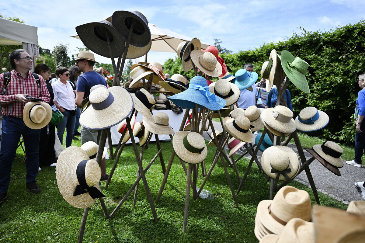 gardenlife_29_05_25_pieth_online_3